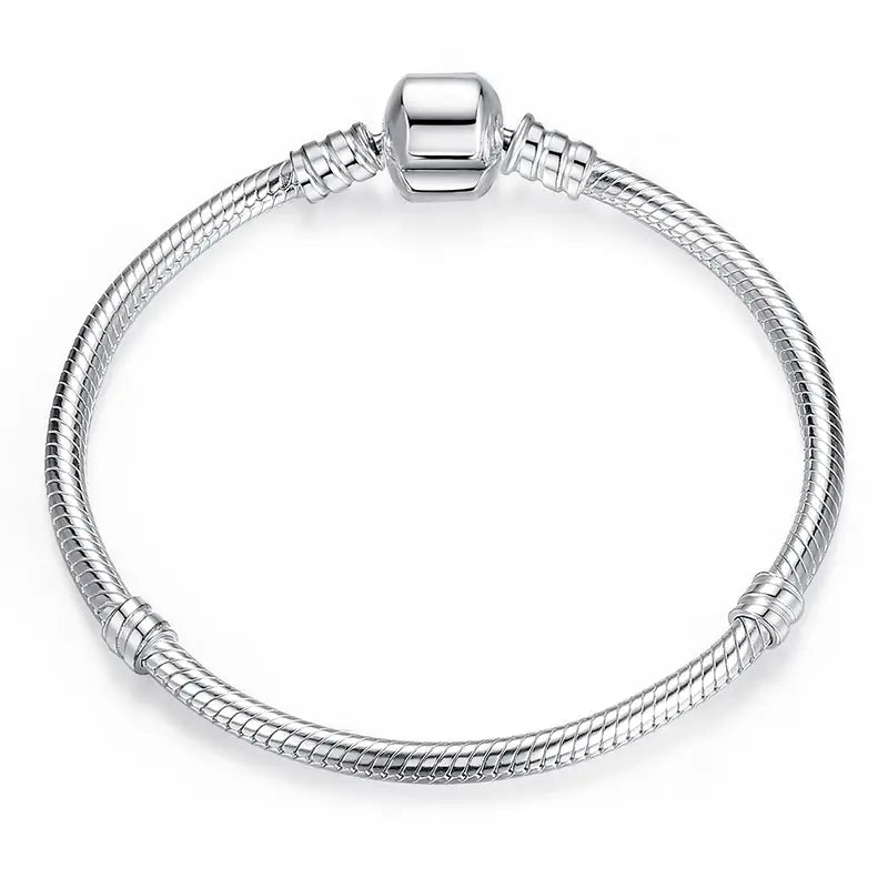 Silver Snake Chain Personalized Charm Bracelet for Women