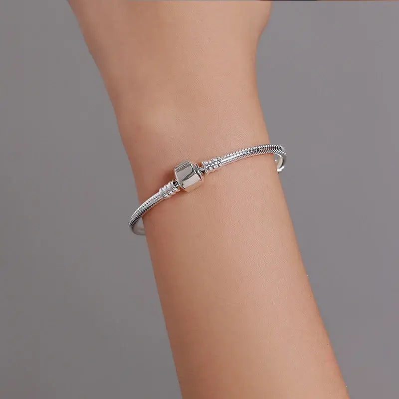 Silver Snake Chain Personalized Charm Bracelet for Women