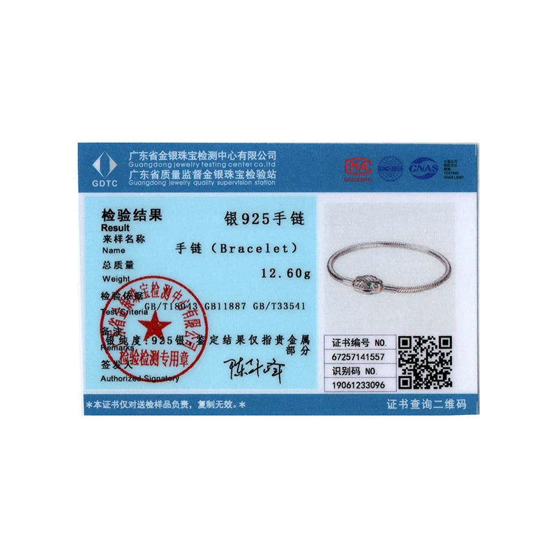 Silver Snake Chain Bracelet for Women – Trendy Party Jewelry Gift
